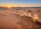 Richard Hall_Desert Dawn.jpg : Desert, Kanaan, Namibia, Sunrise